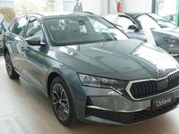 Nuova Skoda Octavia Executive 116 CV (85 kW) 2026 Grigio Station wagon