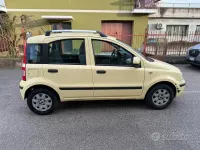 Usata Fiat Panda 60 CV (44 kW) 2009 Giallo Utilitaria