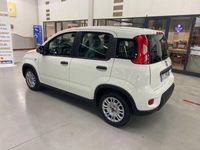 usata Fiat Panda Panda My23 1.0 70cv Hybrid