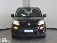 Usata Fiat Panda S 69 CV (50 kW) 2024 Nero Utilitaria