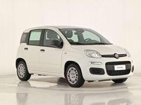 Usata Fiat Panda 69 CV (50 kW) 2025 Bianco gelato Utilitaria