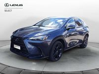 Usata Lexus NX300 309 CV (227 kW) 2023 Grigio SUV