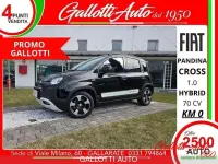 Nuova Fiat Panda Cross 69 CV (50 kW) 2025 Rosso Utilitaria