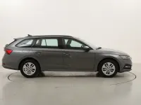 Usata Skoda Octavia Ambition 116 CV (85 kW) 2023 Grigiogrigio Station wagon