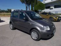 Usata Fiat Panda Dynamic 60 CV (44 kW) 2009 Grigio Utilitaria