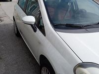 Usata Fiat Punto Evo 75 CV (55 kW) 2010 Utilitaria