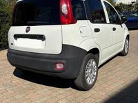 Usata Fiat Panda 75 CV (55 kW) 2013 Bianco Utilitaria