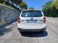 Usata Subaru Forester Trend 147 CV (108 kW) 2014 Bianco SUV