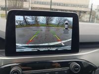 Usata Ford Kuga Titanium X 150 CV (110 kW) 2023 Nero SUV