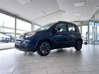 usata Fiat Panda Cross 1.0 FireFly S&S Hybrid City usato