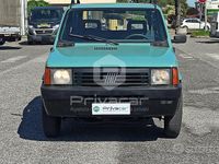 Usata Fiat Panda 4x4 Trekking 54 CV (39 kW) 2003 Verde Utilitaria