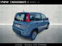 Usata Fiat Panda S 69 CV (50 kW) 2023 Grigio Utilitaria