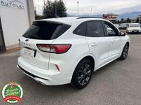 Usata Ford Kuga ST-Line X 120 CV (88 kW) 2021 Bianco SUV