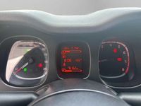 Usata Fiat Panda Sport 69 CV (50 kW) 2021 Rosso Utilitaria