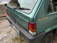 Usata Fiat Panda 4x4 54 CV (39 kW) 1999 Utilitaria