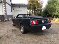 usata Ford Mustang 4.0 v6