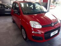 usata Fiat Panda 1.2 Pop