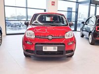 Usata Fiat Panda S 69 CV (50 kW) 2024 Rosso Utilitaria