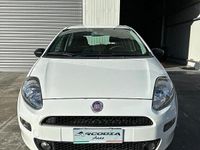 Usata Fiat Punto 75 CV (55 kW) 2014 Bianco Utilitaria