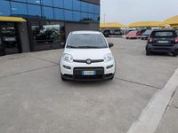 Usata Fiat Panda Comfort 69 CV (50 kW) 2023 Bianco / pastello Utilitaria