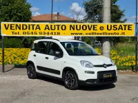 Usata Fiat Panda City Life 70 CV (51 kW) 2021 Bianco gelato Utilitaria