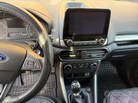 Usata Ford Ecosport Business Edition 100 CV (73 kW) 2020 Grigio SUV