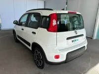 Usata Fiat Panda City Life 70 CV (51 kW) 2021 Bianco Utilitaria