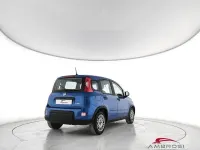 Usata Fiat Panda S 69 CV (50 kW) 2024 Blu Utilitaria