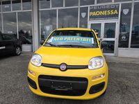 Nuova Fiat Panda Icon 71 CV (52 kW) 2025 Giallo Berlina