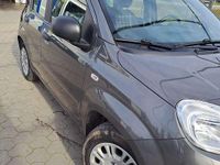Usata Fiat Panda City Life 69 CV (50 kW) 2022 Utilitaria