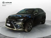 Usata Lexus NX300h Luxury Line 197 CV (144 kW) 2019 Nero SUV