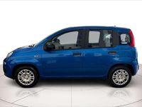 Nuova Fiat Panda 69 CV (50 kW) 2025 Blu/azzurro Utilitaria