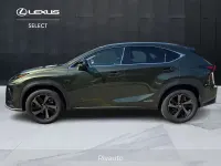 Usata Lexus NX300h 197 CV (144 kW) 2021 Verde SUV