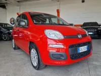 Usata Fiat Panda Lounge 69 CV (50 kW) 2020 Rosso Utilitaria
