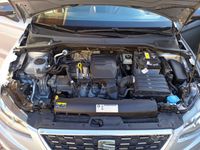 Usata Seat Ibiza 75 CV (55 kW) 2019 Utilitaria