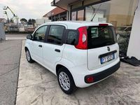Usata Fiat Panda Connect 69 CV (50 kW) 2020 Bianco Utilitaria