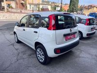 Usata Fiat Panda Easy 84 CV (61 kW) 2019 Bianco Utilitaria