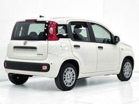 Nuova Fiat Panda Icon 69 CV (50 kW) 2026 Bianco Utilitaria