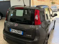 Usata Fiat Panda City Life 69 CV (50 kW) 2021 Grigio Utilitaria