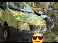 Usata Fiat Panda 4x4 60 CV (44 kW) 2005 Verde Utilitaria