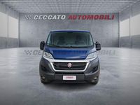 Usata Fiat Ducato 116 CV (85 kW) 2019 Blu Furgone