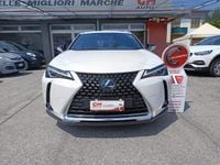 Usata Lexus UX Business Edition 152 CV (111 kW) 2021 Bianco SUV
