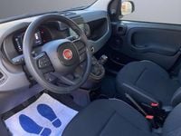 Usata Fiat Panda Icon 69 CV (50 kW) 2024 Nero Utilitaria