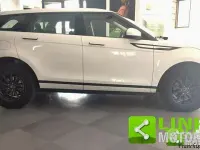 Usata Land Rover Range Rover evoque 163 CV (119 kW) 2021 Bianco SUV