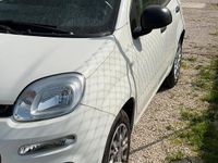 Usata Fiat Panda 70 CV (51 kW) 2021 Bianco Utilitaria