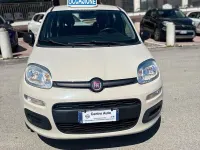Usata Fiat Panda Lounge 69 CV (50 kW) 2017 Beige Utilitaria