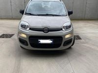 Usata Fiat Panda 95 CV (69 kW) 2016 Utilitaria