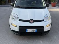Usata Fiat Panda Cross Cross 69 CV (50 kW) 2021 Utilitaria