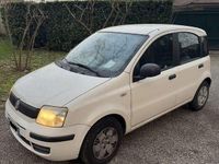 Usata Fiat Panda Anniversary 54 CV (39 kW) 2010 Utilitaria