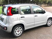 Usata Fiat Panda Pop 69 CV (50 kW) 2013 Grigio Berlina